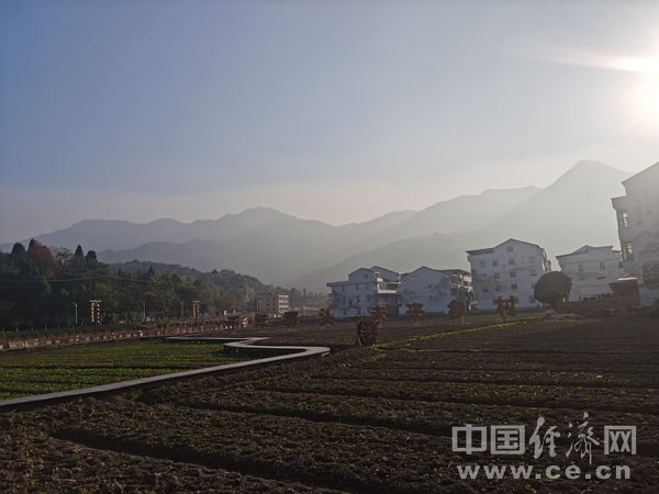 【理响中国·人民至上@中国式现代化】瞄准未来 温州勇当先行者(图2)