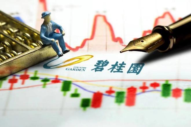 香港大亨“狙击”碧桂园？身价990亿他才是房地产巨头背后金主(图9)