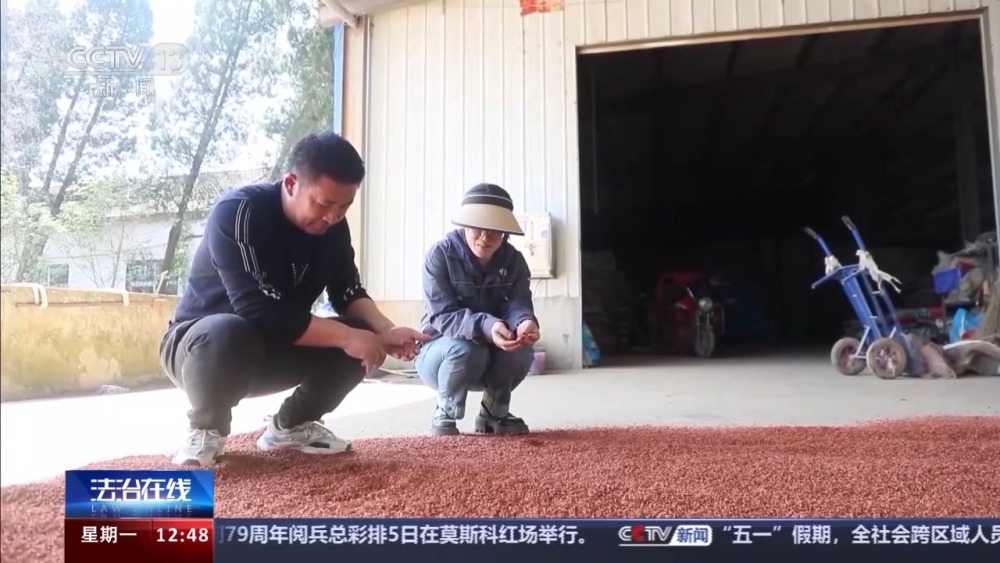 “坑农黑手”可致农田每亩减产25% 伪劣种子骗局曝光(图11)