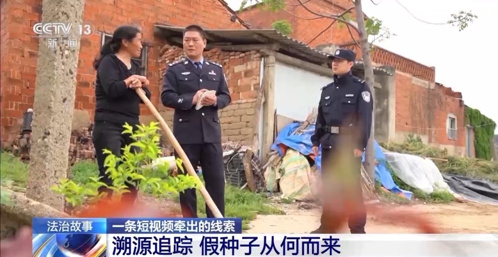 “坑农黑手”可致农田每亩减产25% 伪劣种子骗局曝光(图10)