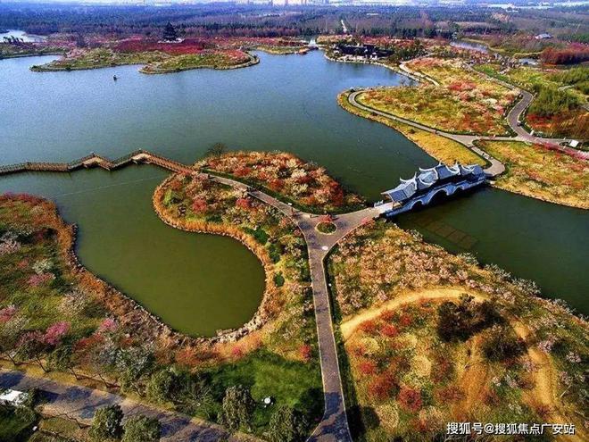 泷悦蓝湾2024官方网站-泷悦蓝湾官方楼盘详情-上海房天下(图13)