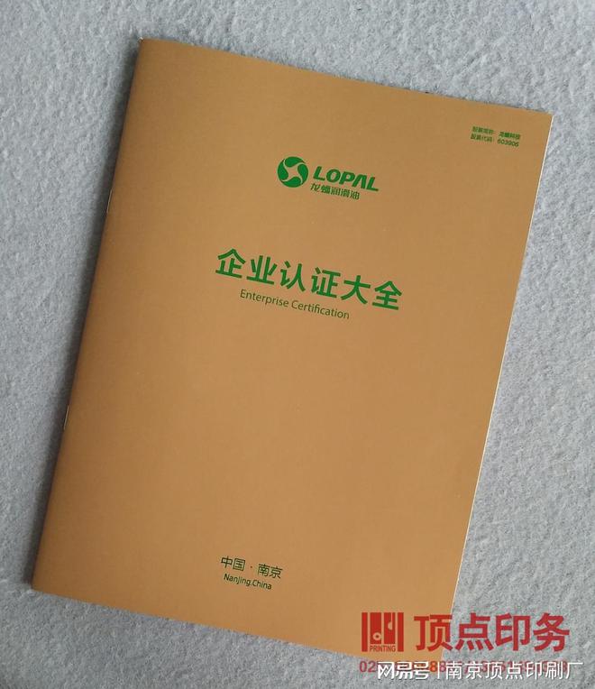 南京特色产品宣传册设计-南京品牌形象样本印刷-窗花印刷(图2) 南京特色产品宣传册设计-南京品牌形象样本印刷-窗花印刷(图2)