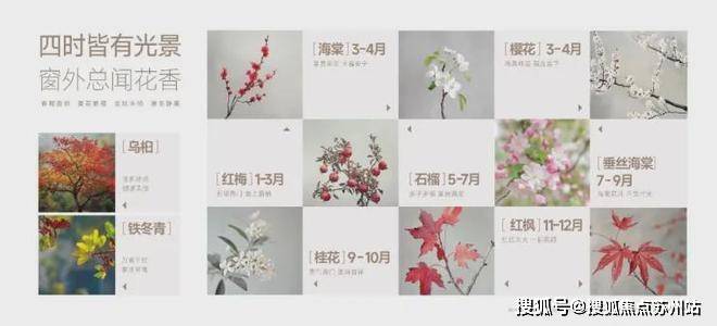 闵行古美阅华官方发布：800万级必看红盘！2024楼盘最新解析_百度(图17)