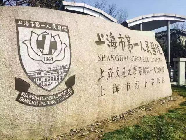 2024曼荼园-售楼处官方网站--中凯·曼荼园-上海房天下(图11)