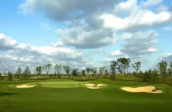 联仲·都悦汇(售楼处)官方网站-楼盘详情-2024楼盘测评-房天下(图2) 联仲·都悦汇(售楼处)官方网站-楼盘详情-2024楼盘测评-房天下(图2)