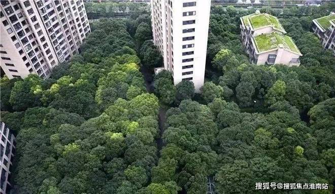 2024中鹰黑森林-售楼处官方网站--中鹰黑森林-上海房天下(图7)