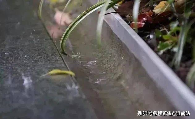 2024中鹰黑森林-售楼处官方网站--中鹰黑森林-上海房天下(图8)
