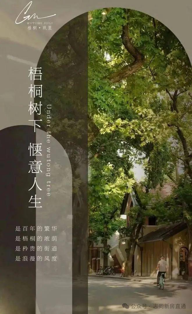 梧桐玖里(2024上海静安梧桐玖里)官方首页-楼盘详情-户型配套(图1) 梧桐玖里(2024上海静安梧桐玖里)官方首页-楼盘详情-户型配套(图1)