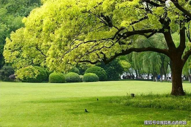 2024花语景岸(售楼中心)官方网站-花语景岸房产百科-苏州房天下(图6) 2024花语景岸(售楼中心)官方网站-花语景岸房产百科-苏州房天下(图6)