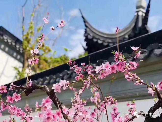 2024上海桃花源-售楼处官方网站--上海桃花源-房天下(图3) 2024上海桃花源-售楼处官方网站--上海桃花源-房天下(图3)