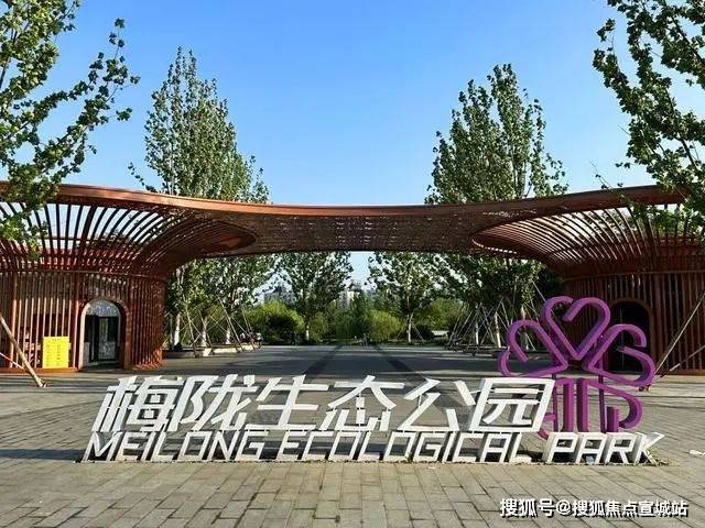 安高申陇院(2024年安高申陇院)首页网站-楼盘详情-户型配套(图14)