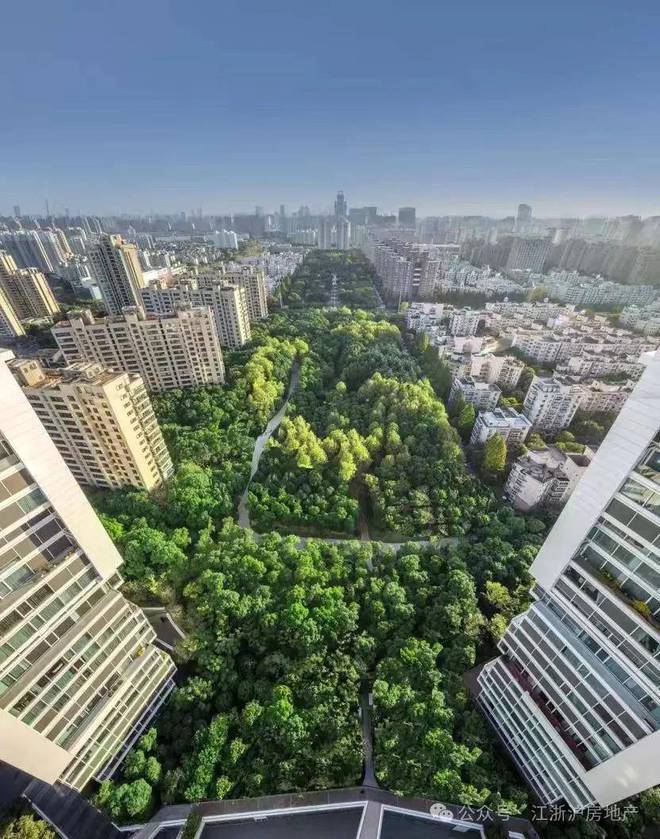 2024中鹰黑森林售楼处(中鹰黑森林)官方网站--上海房天下(图3) 2024中鹰黑森林售楼处(中鹰黑森林)官方网站--上海房天下(图3)