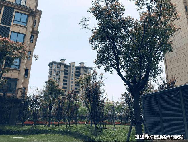 2024水榭兰亭(水榭兰亭)官方网站_官方_上海房天下(图10) 2024水榭兰亭(水榭兰亭)官方网站_官方_上海房天下(图10)