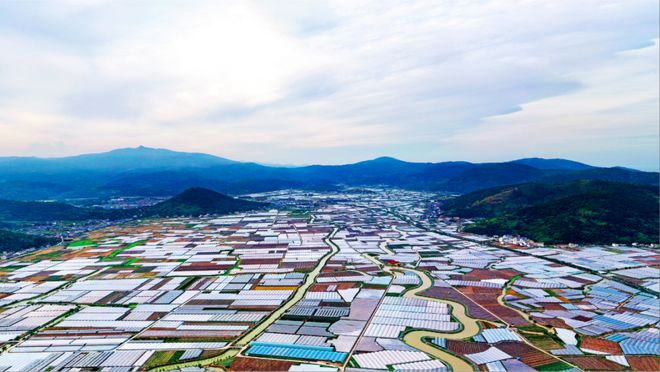 苍南超多“大项目”！拟建瓯南第一高层(图6)
