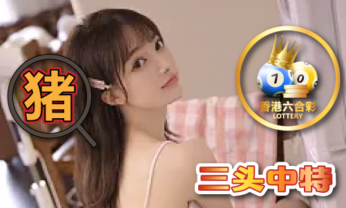74249сm查询V(图1)